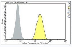 CD33, Mouse anti-Human, Clone: P67.6, Millipore Sigma 100&mu;g; Unconjugated:Antibodies,